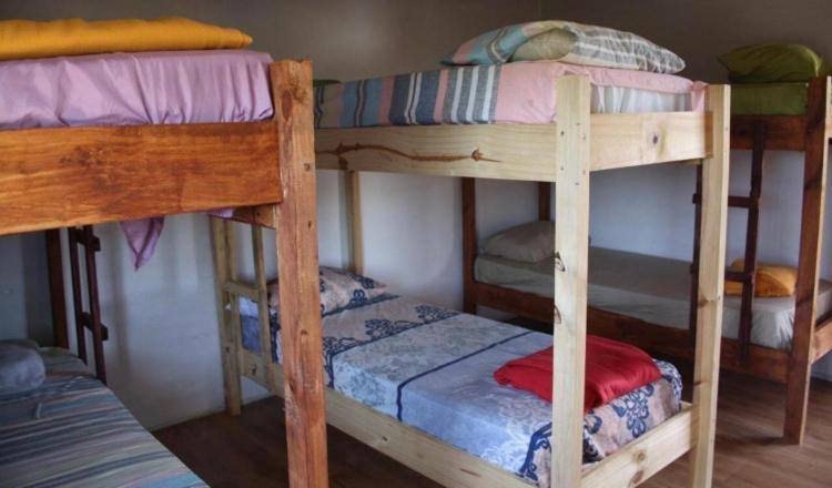 Posada Hostel La Piedra Mistica ラ・ペドレラ エクステリア 写真